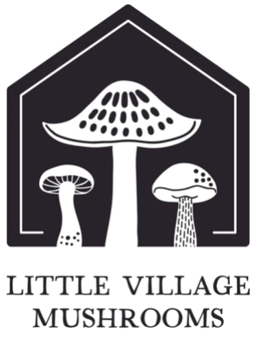 little village mushrooms logo