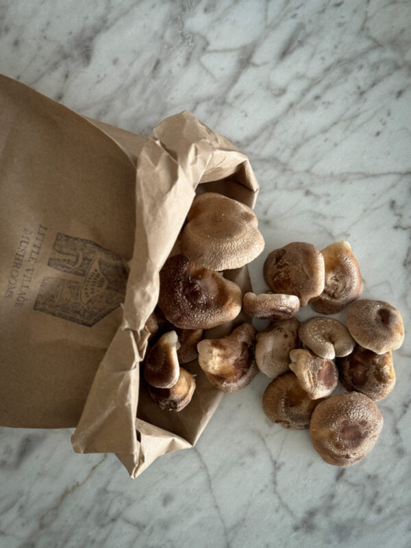 little village mushrooms shiitake mushrooms